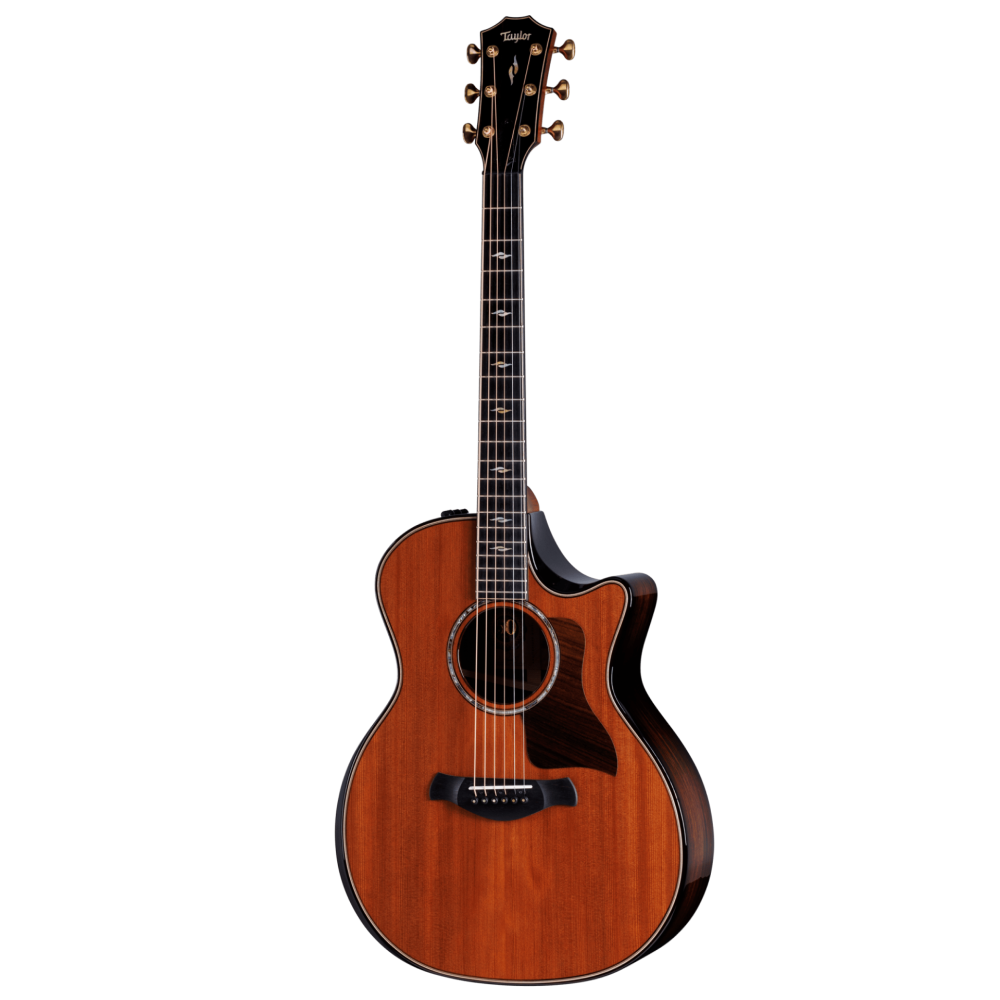 Taylor Builder's Edition 814ce 50th Anniversary Acoustic Guitar