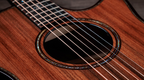 Taylor Builder's Edition 914ce Honduran Acoustic Guitar