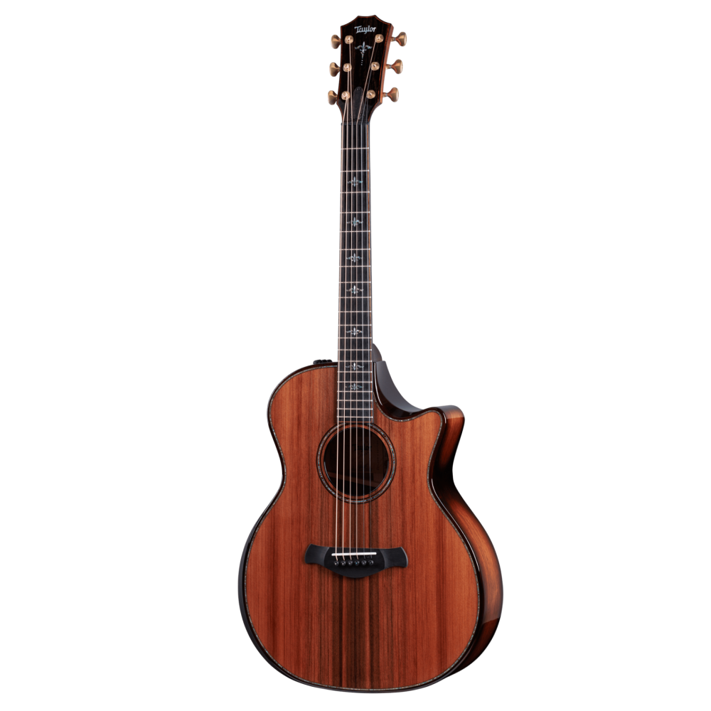 Taylor Builder's Edition 914ce Honduran Acoustic Guitar