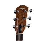 Taylor Big Baby Acoustic Guitar with Pickup