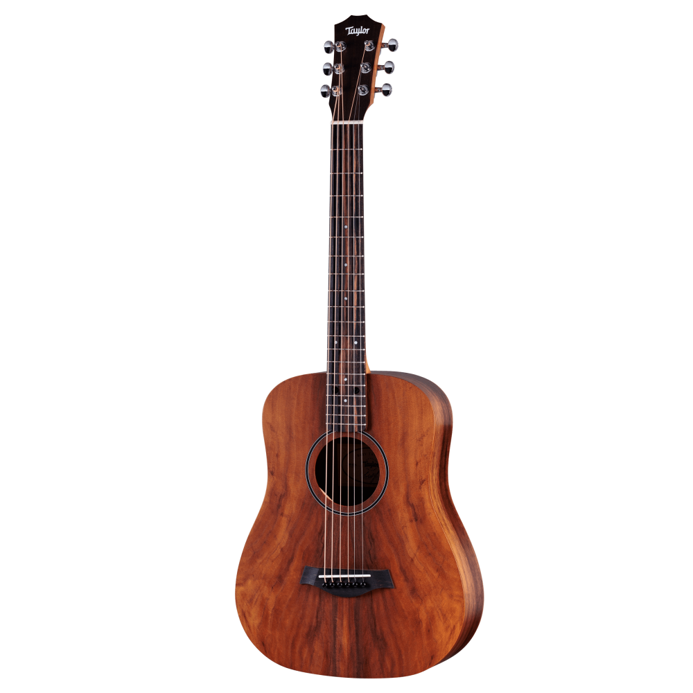 Taylor BT Koa Acoustic Guitar