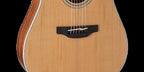 Takamine G20 Series Cutaway Dreadnought Guitar with Solid Cedar Top & Pickup