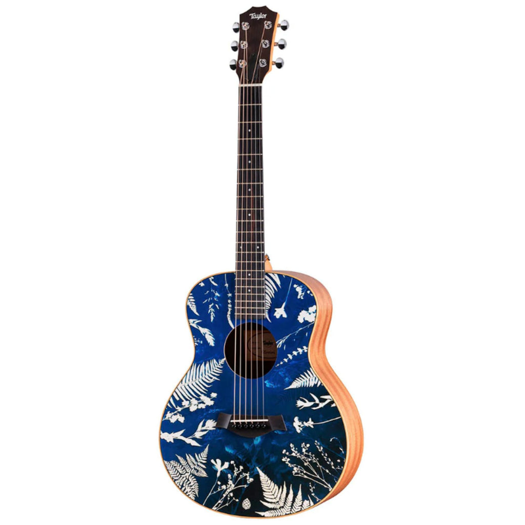 Taylor GS Mini x Stio Special Edition Acoustic Guitar - Jackson Artwork