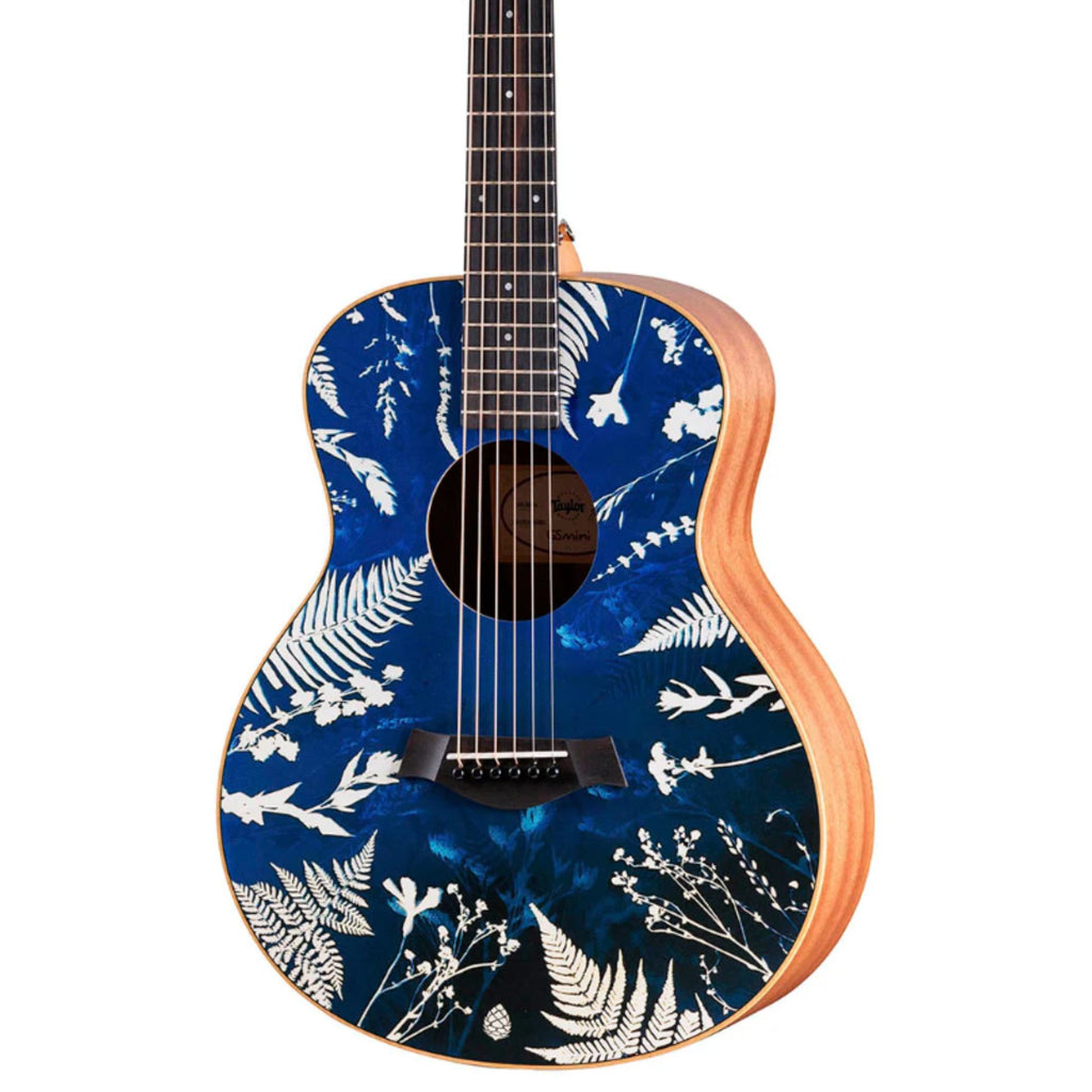 Taylor GS Mini x Stio Special Edition Acoustic Guitar - Jackson Artwork
