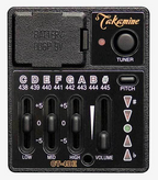 Takamine P1DC Pro Series 1 Jumbo AC/EL Guitar with Cutaway