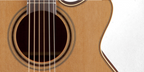Takamine P3NC Pro Series 3 NEX AC/EL Guitar with Cutaway