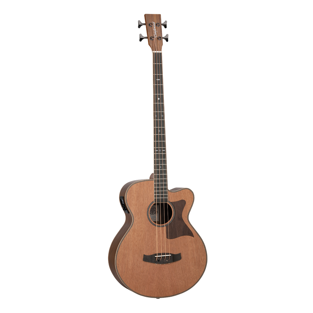Tanglewood TRABBW Reunion Acoustic Bass C/E Black Walnut