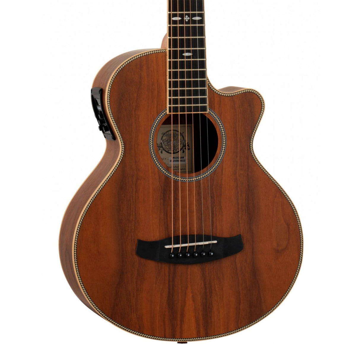 Tanglewood Reunion Pro Traveller C/E Acoustic Guitar w/Bag