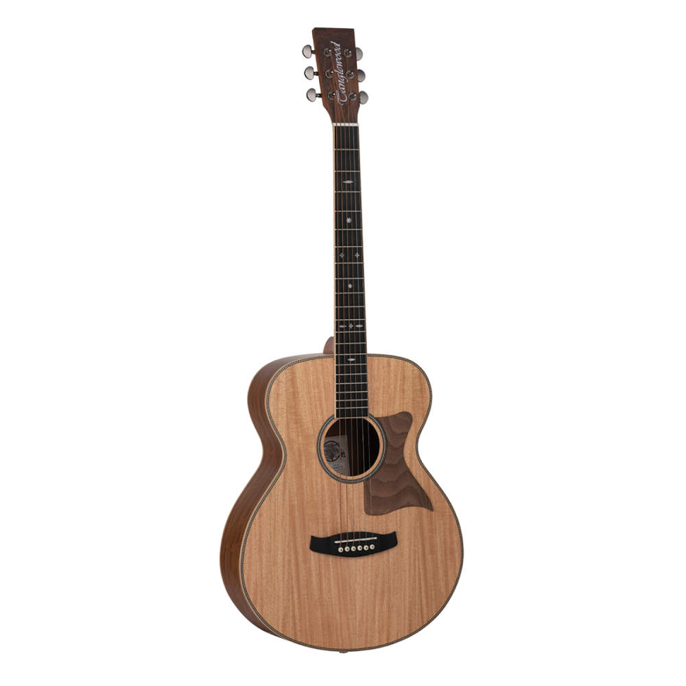 Tanglewood Reunion Pro Folk Hawaiian Rain Wood Solid
