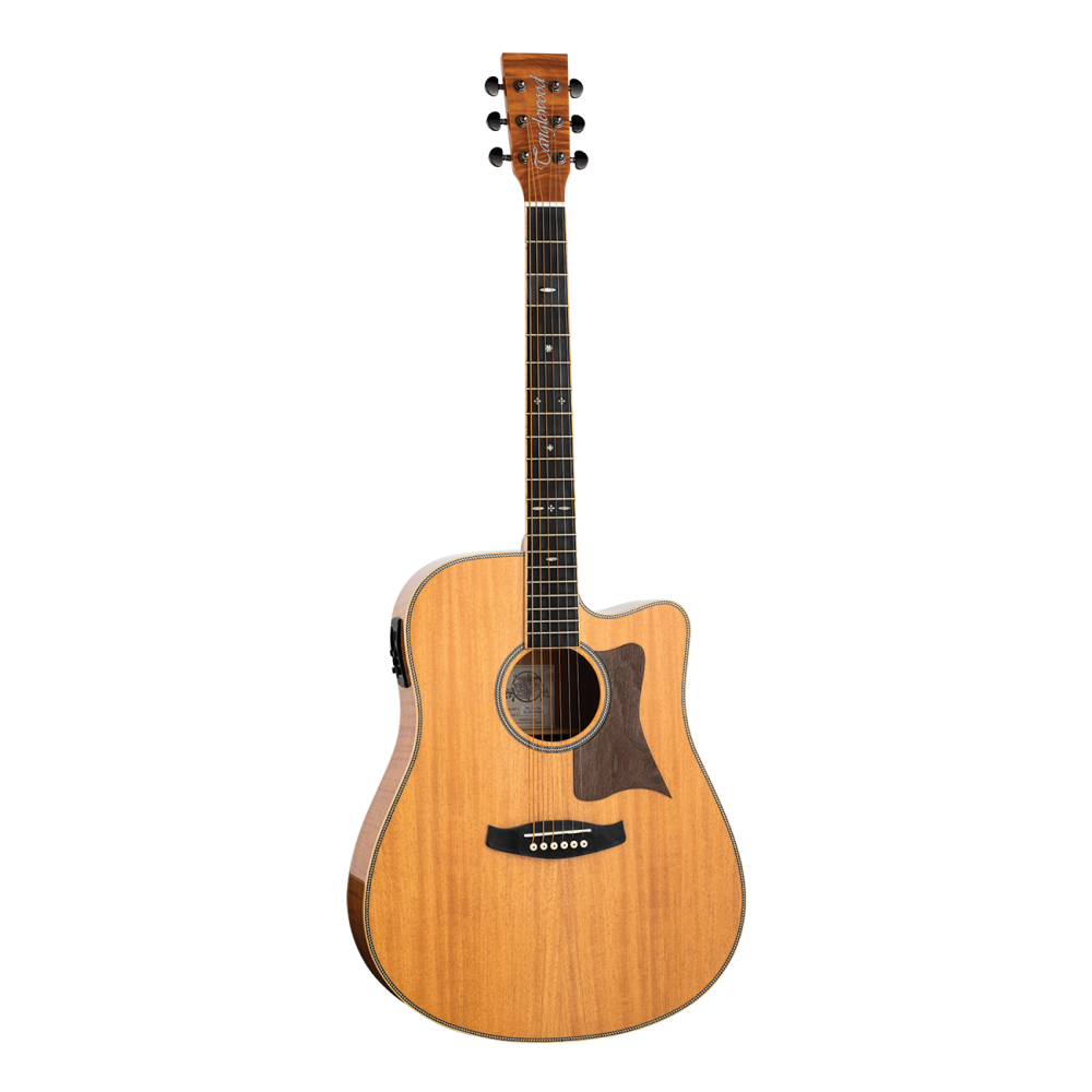 Tanglewood Reunion Pro Dread C/E Flamed Mahogany Solid