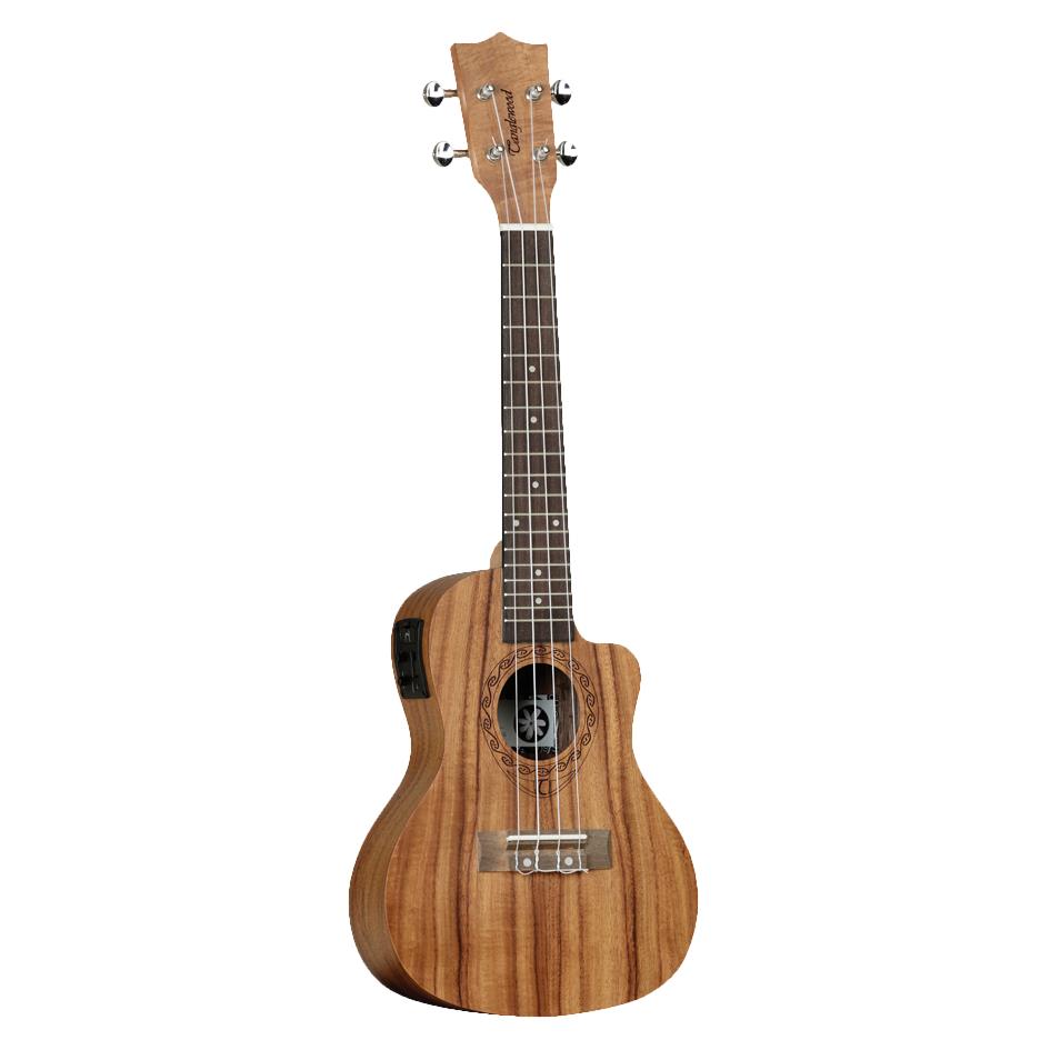 Tanglewood TWT16E Tiare Concert Ukulele with Pickup and Gig Bag - Natural Satin Figured Koa