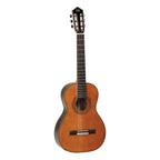 Tanglewood TWEMD4 Classic Parlour Guitar Nylon String With Gig Bag