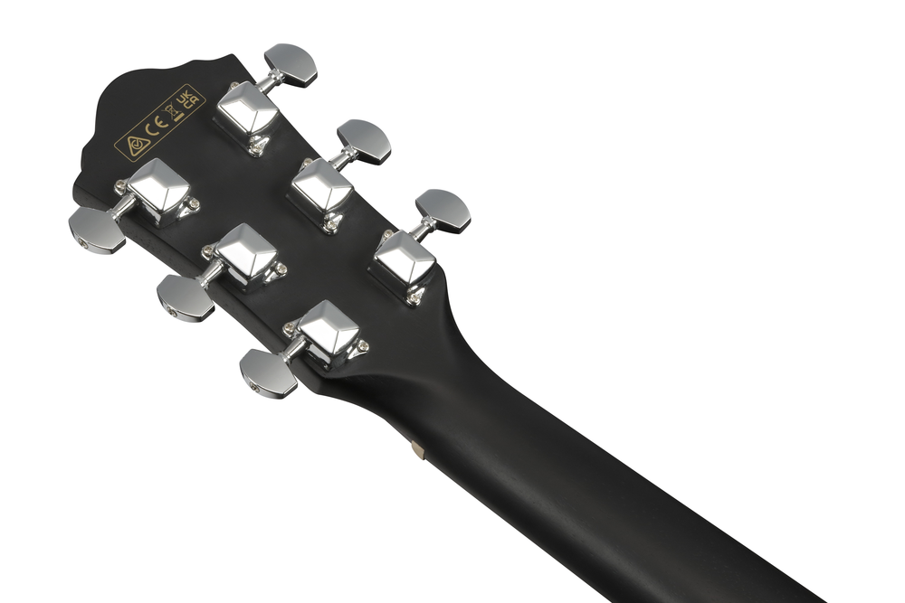 IBANEZ V44CE WK  ACOUSTIC GUITAR