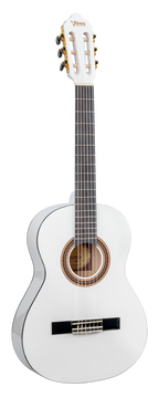 Valencia 100 Series 3/4 Classi