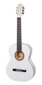 Valencia 100 Series 4/4 Classi