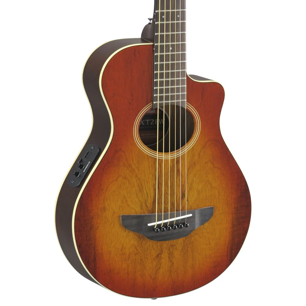 Yamaha APXT2EW-LAB 3/4 Acoustic Guitar Exotic Wood Light Amber Burst
