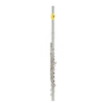 Yamaha YFL372GL Intermediate Flute with Gold Lip Plate