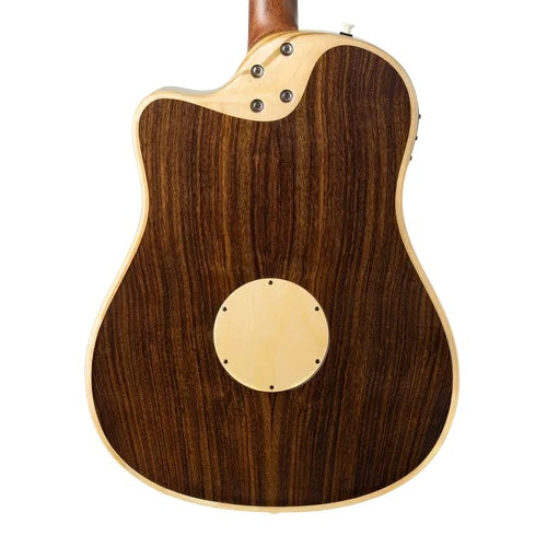 LR Baggs AEG-1 Acoustic Electric Guitar Torrefied Sitka Spruce