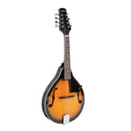 Bryden SMA10 archtop mandolin in tobacco sunburst finish, showcasing its curved body, f-holes, and detailed wood grain.