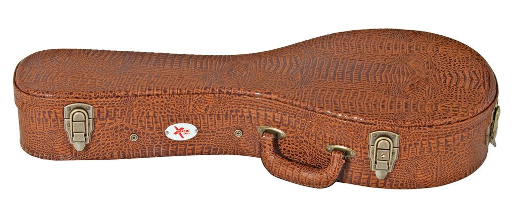 Xtreme A Mandolin Case