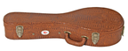 Xtreme A Mandolin Case