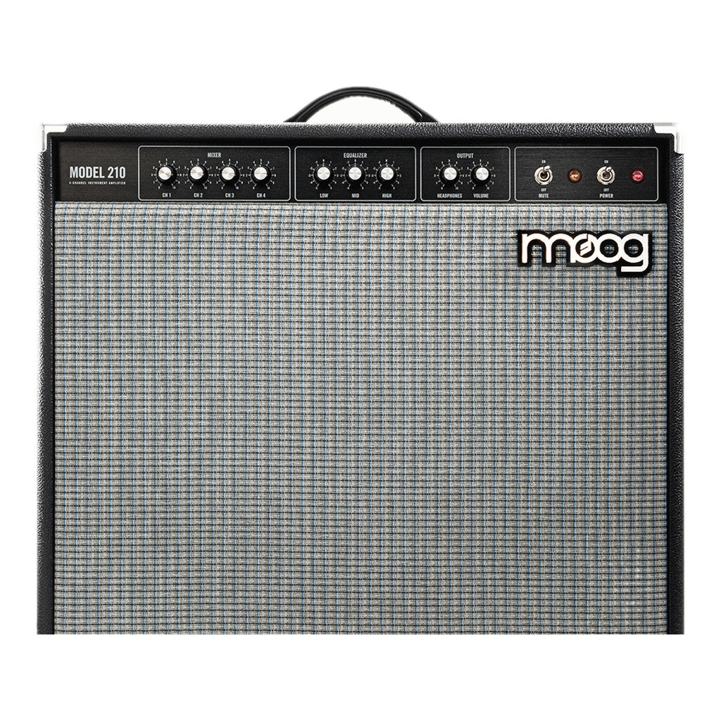 Moog Model 210 2x10 full-range analog keyboard amplifier with dual speakers