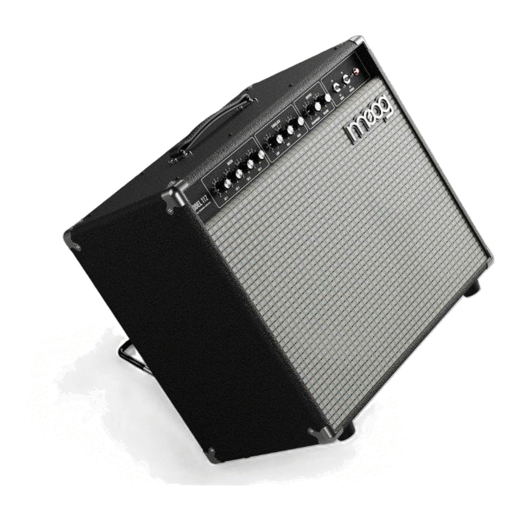 Moog Model 210 2x10 full-range analog keyboard amplifier, front view of keyboard PA enclosure