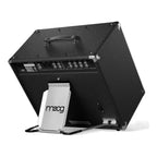 Moog Model 210 2x10 full-range analog keyboard amplifier with dual speakers and control panel