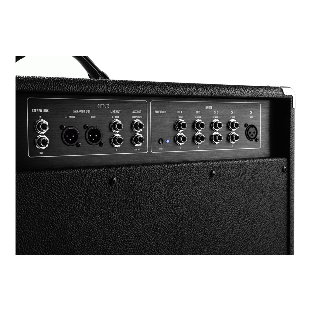 Moog Model 210 2x10 full-range analog keyboard amplifier with dual speakers