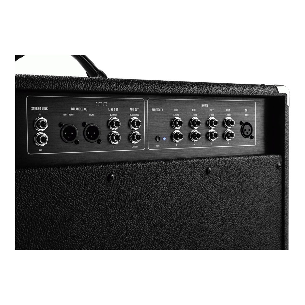 Moog Model 210 2x10 full-range analog keyboard amplifier with dual speakers