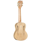Tanglewood TWT11B Tiare Concert Ukulele in Cedar Spalted Maple with Bag
