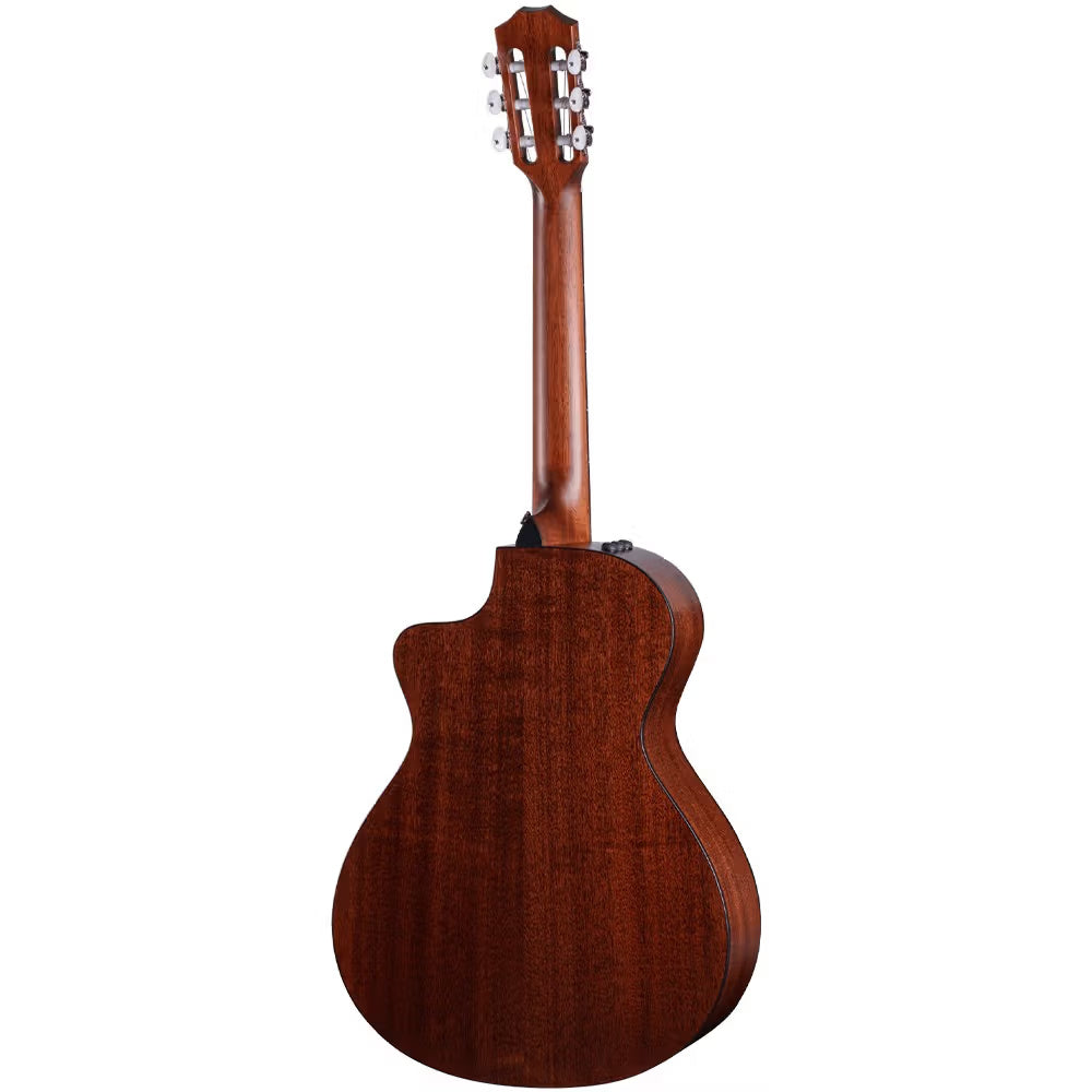 Taylor 312ce-N Classical Guitar with Pickup - Spruce/Sapele